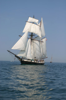 France, Basse Normandie, Manche, Cotentin, Cherbourg, rade, tall ships race 2005, grands voiliers, course,