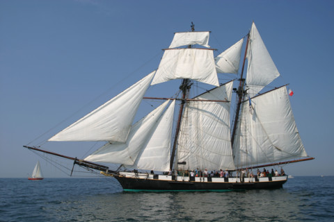 France, Basse Normandie, Manche, Cotentin, Cherbourg, rade, tall ships race 2005, grands voiliers, course,