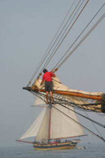 France, Basse Normandie, Manche, Cotentin, Cherbourg, rade, tall ships race 2005, grands voiliers, course, pride of baltimore, usa,