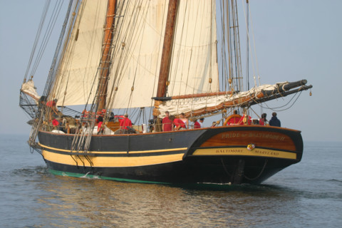 France, Basse Normandie, Manche, Cotentin, Cherbourg, rade, tall ships race 2005, grands voiliers, course, pride of baltimore, usa,