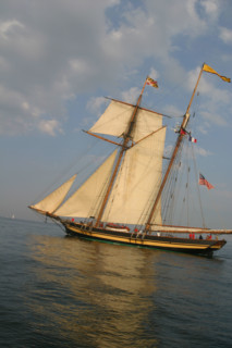France, Basse Normandie, Manche, Cotentin, Cherbourg, rade, tall ships race 2005, grands voiliers, course, pride of baltimore,
