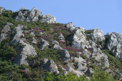 France, Basse Normandie, Manche, Cotentin, Cherbourg, sommet de la montagne du Roule, vers le fort du roule, pierres,