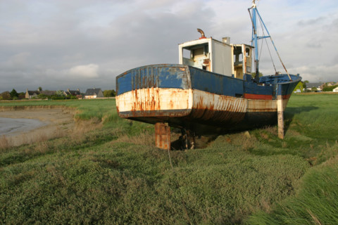 France, Basse Normandie, Manche, regneville sur mer, havre de regneville, maree basse, sable, bateaux echoues, vieux chalutier, herbe,