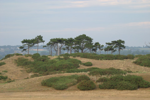 France, pays de coutances