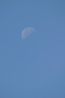 France, Basse Normandie, Manche, pays de la baie du Mont-Saint-Michel, 
quartier de lune dans le ciel bleu,