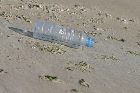 France, Basse Normandie, Manche, pays de la baie du Mont-Saint-Michel, 
paysage de dunes du bec d'Andaine
pollution, salete, bouteille en plastique dans le sable, developpement durable, environnement,