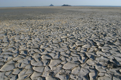 France, Basse Normandie, Manche, pays de la baie du Mont-Saint-Michel, 
le bec d'Andaine, sol craquele, secheresse, maree basse,