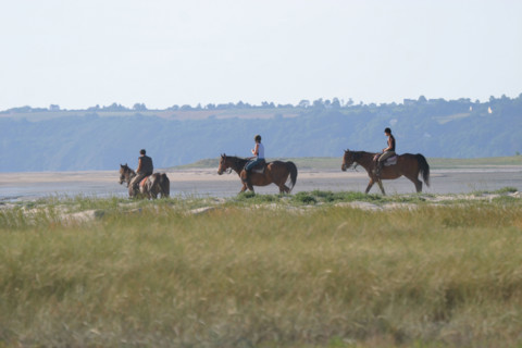 France, Basse Normandie, Manche, pays de la baie du Mont-Saint-Michel, 
le bec d'Andaine, chevaux a l'entrainement, dunes,