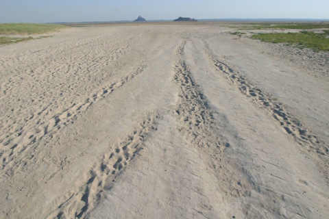 France, Basse Normandie, Manche, pays de la baie du Mont-Saint-Michel, 
le bec d'Andaine, traces de passage dans le sable, maree basse,