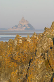 France, Basse Normandie, Manche, pays de la baie du Mont-Saint-Michel, 
le grouin du sud, panorama, maree basse, rochers,