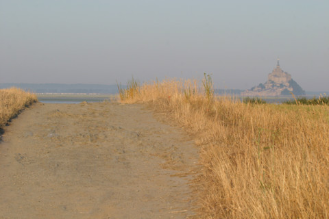 France, Basse Normandie, Manche, pays de la baie du Mont-Saint-Michel, 
le grouin du sud, chemin entre les herbes,