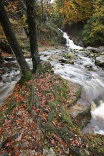 France, Basse Normandie, Manche, pays de la baie, mortain, la grande cascade, paysage, eau, nature, automne,