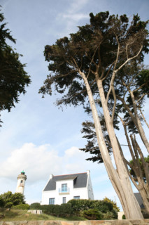 France, Bretagne, Morbihan, golfe du Morbihan, presqu'ile de rhuys, arzon, port navalo, promenade de la corniche, phare, arbres,
