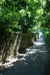 France, Bretagne, Morbihan, golfe du Morbihan, ile aux moines, chemin ombrage vers la partie nord de l'ile, pointe du trec'h, chemin jaune,
