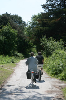 France, Bretagne, Morbihan, golfe du Morbihan, ile aux moines, chemin vers la partie nord de l'ile, pointe du trec'h, chemin jaune, cyclistes, randonnee a velo,