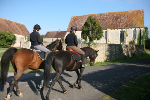 France, Basse Normandie, orne, pays d'auge ornais, randonnee a cheval autour de Medavy et de son chateau