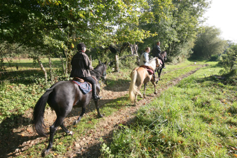 France, Basse Normandie, orne, pays d'auge ornais, randonnee a cheval autour de Medavy et de son chateau