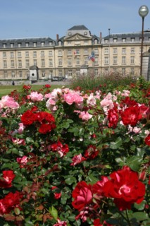 France, Haute Normandie, Seine Maritime, Rouen, hotel de region et jardins de la place, institution, administration, conseil regional, jardin, fleurs, rose, rosier