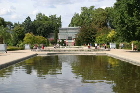 France, Haute Normandie, Seine Maritime, Rouen, rive gauche, jardin des plantes, fleurs, nature, jardin public, bassin, serre,