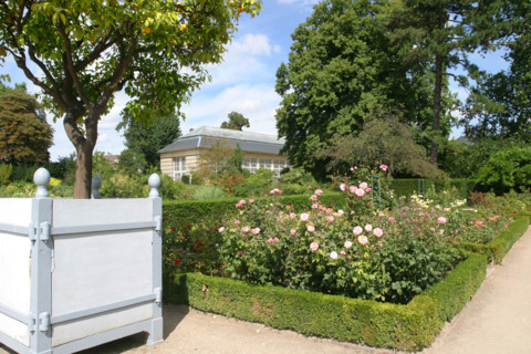 France, Haute Normandie, Seine Maritime, Rouen, rive gauche, jardin des plantes, fleurs, nature, ardin public,