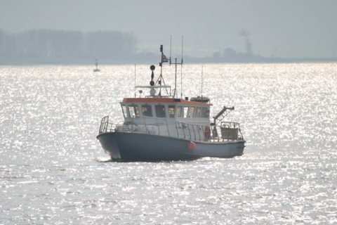 France, Haute Normandie, Seine Maritime, vallee de la Seine, au niveau des ecluses de Tancarville, 
vedette de la capitainerie du havre