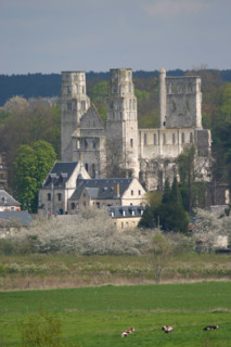 France, Haute Normandie, Seine Maritime, vallee de la Seine, abbaye de jumieges, vue depuis un cargo, paysage, monument historique, champs, vaches,