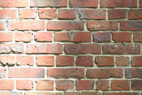 France, Haute Normandie, Seine Maritime, pays de Caux, detail habitat traditionnel, maison de briques, mur,