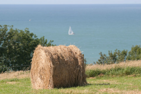 France, pays de caux