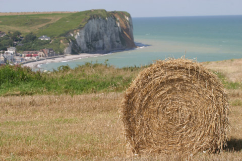 France, pays de caux