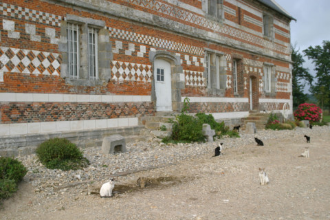 France, Haute Normandie, Seine Maritime, pays de Caux maritime, cany barville, manoir de comenville, ferme traditionnelle, architecture polychrome : brique pierre et silex, chats,