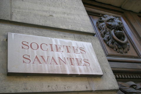 France, Haute Normandie, Seine Maritime, Rouen, societes savantes
rue beauvoisine, plaque gravee, hotel particulier, porte lion,