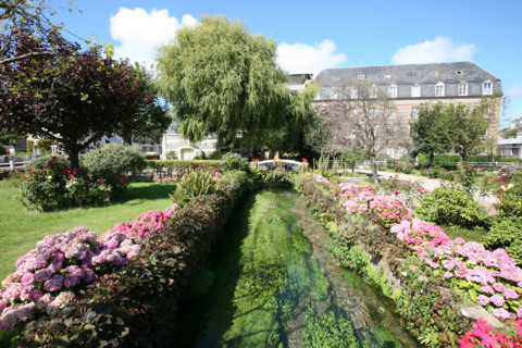 France, Haute Normandie, Seine Maritime, veules les roses, pays de Caux maritime, au fil de la veules, plus petit fleuve de france, fleurs, hortensias,