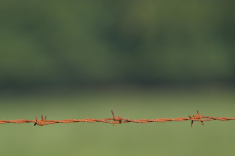 France, barbed wire