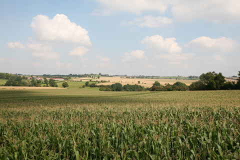 France, pays de bray