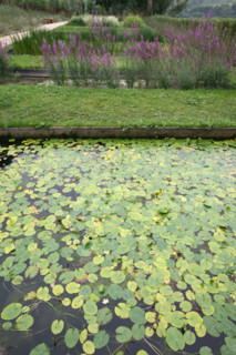 France, Haute Normandie, Seine Maritime, vallee de la Seine, gruchet le valasse, parc EANA, consacre au developpement durable, environnement, bassin d'epuration naturelle,