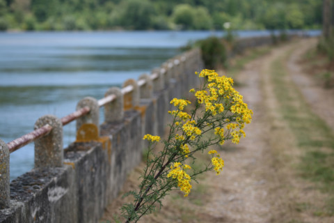 France, vallee de la seine