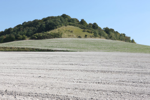 France, pays de bray
