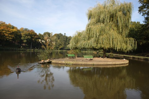 France, pays de bray