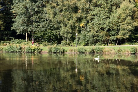 France, pays de bray