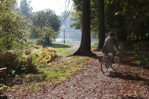 France, pays de bray