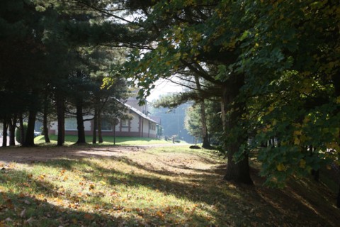 France, pays de bray