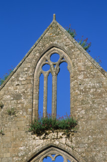 France, Bretagne, Cotes d'Armor, anse de Paimpol, abbaye de beauport, vestiges, ruine, ogive, voute, vieilles pierres,