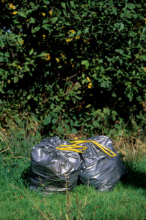 France, environnement, developpement durable, pollution, dechets, decharge sauvage, poubelle, detritus, en peine nature, route de campagne,