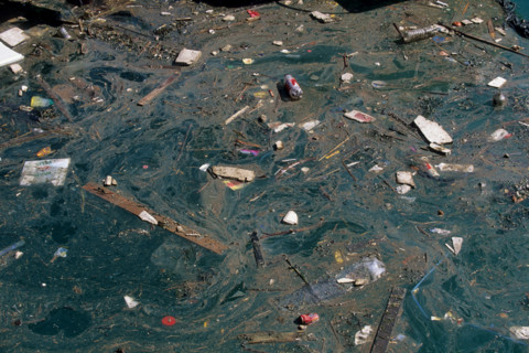 France, environnement, developpement durable, pollution, dechets, decharge sauvage, poubelle, detritus, Seine,