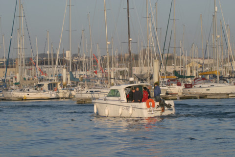 France, Basse Normandie, Manche, Cotentin, Cherbourg, port chantereyne et bateaux de plaisance, vedette, navigation loisir,