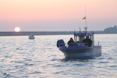 France, cotentin