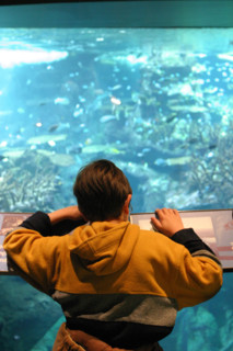 cite de la mer,