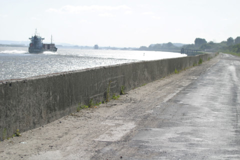 France, Haute Normandie, Seine Maritime, vallee de la Seine, entre pont de Normandie et Tancarville, cargo en Seine, chemin de halage,
