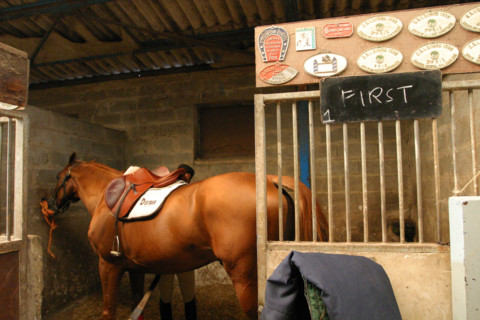 France, Basse Normandie, Manche, pays de saint lo, florian angot, cavalier international, selectionne olympique 2004, first de launay, etalon du haras national de saint lo, cheval, hippisme, selle fra...