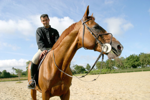 France, Basse Normandie, Manche, pays de saint lo, florian angot, cavalier international, selectionne olympique 2004, first de launay, etalon du haras national de saint lo, cheval, hippisme, selle fra...